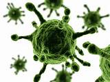 آخرین اخبار از ویروس کرونا در عربستان
